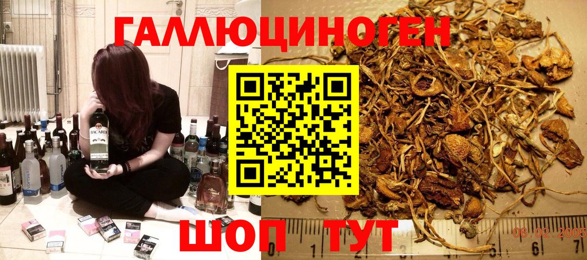 Псилоцибиновые грибы мухоморы Артёмовский