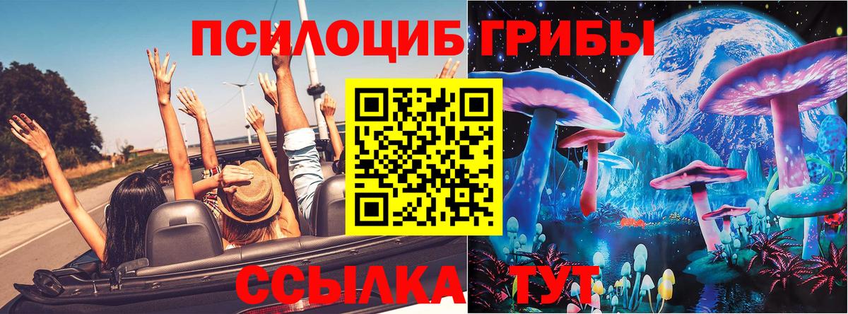 Артёмовский  Галлюциногенные грибы мухоморы  Вход с VPN 